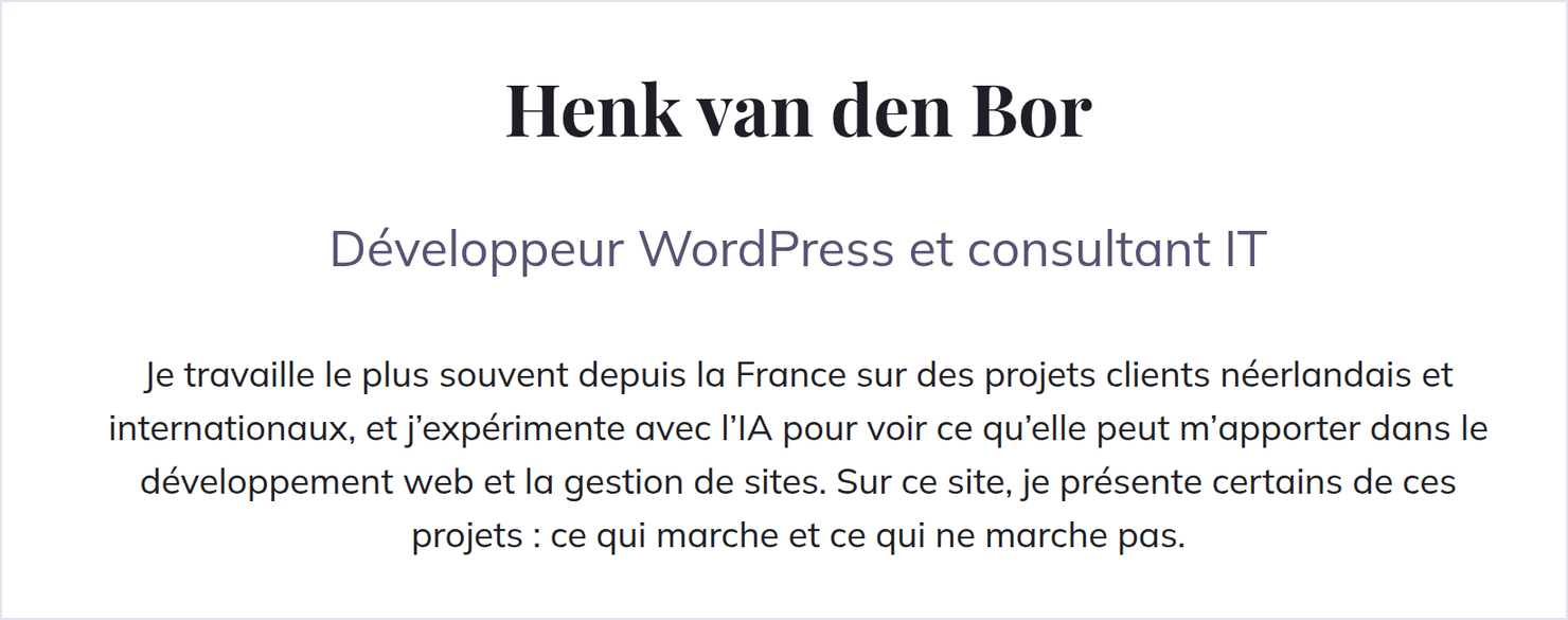 Le bloc d’introduction de la page d’accueil : le titre Henk van den Bor en Playfair Display, avec le texte en Mulish en dessous.